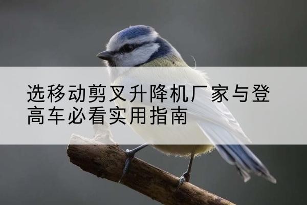 平凉电动升降机厂家-选移动剪叉升降机厂家与登高车必看实用指南