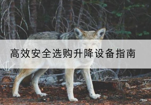 平凉升降货梯厂家推荐-*安全选购升降设备指南